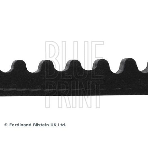 Blue Print V-Belt Auxiliary Drive Belt AD10V885