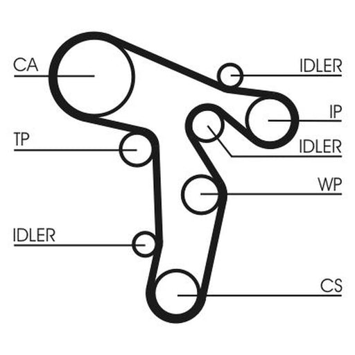 Continental CTAM Timing Belt Cambelt 160 Teeth CT1134