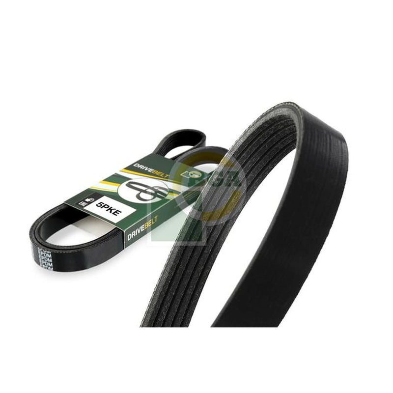BGA Multi V-Ribbed Drive Belt 5PK716E