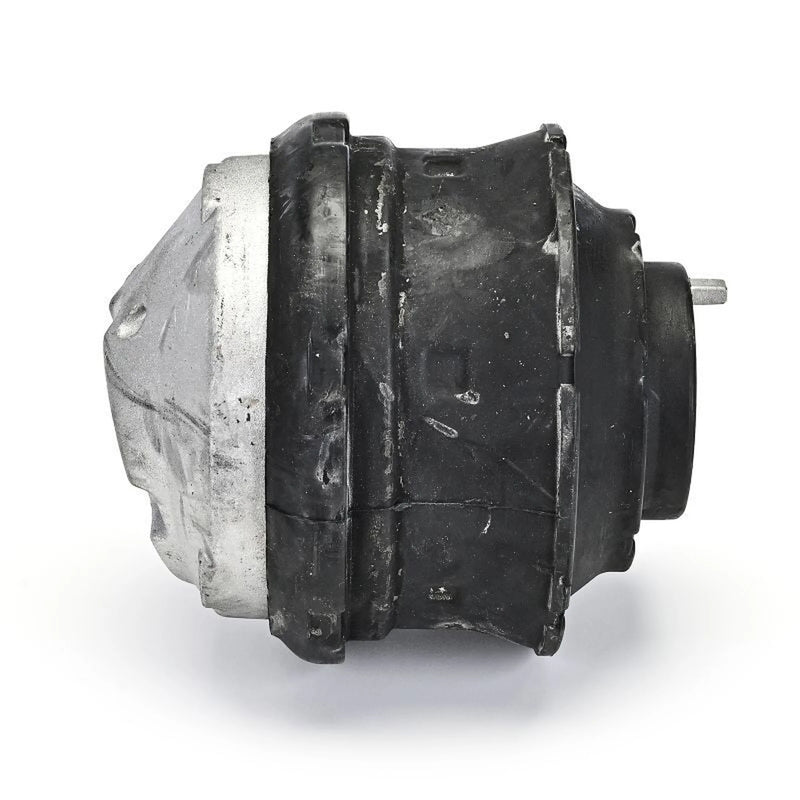 Delphi Engine Mount Mounting Front TEM132