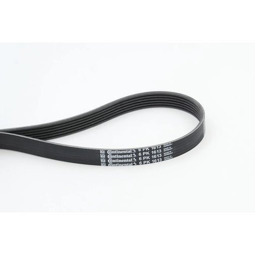 Continental CTAM Multi V-Ribbed Drive Belt 6PK1613