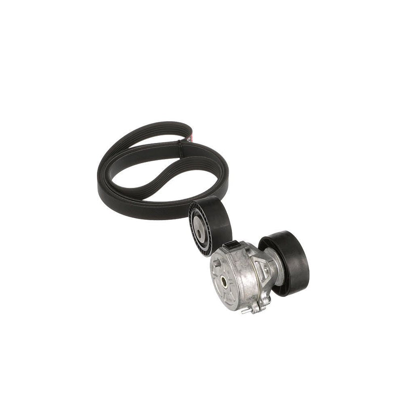 Gates K026PK1750 V-ribbed Belt Set