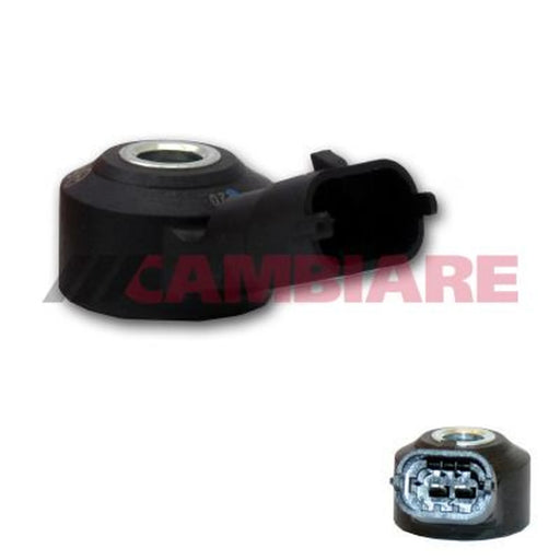 Cambiare Engine Knock Sensor VE369144