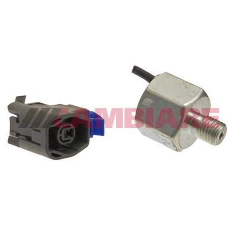 Cambiare Engine Knock Sensor VE369059