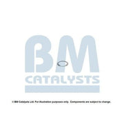 BM Catalysts Fitting Kit FK11166A FK11166A