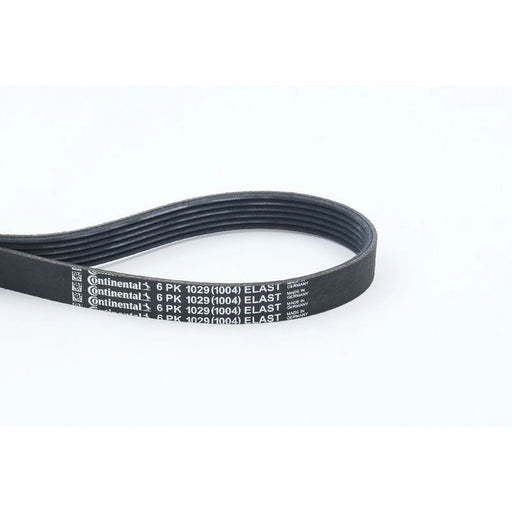 Continental CTAM Multi V-Ribbed Drive Belt 6PK1029ELAST