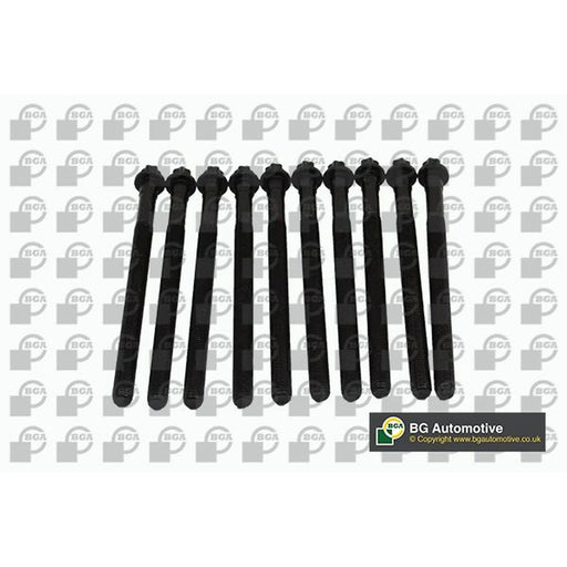 BGA Cylinder Head Bolt Set M11 BK5602