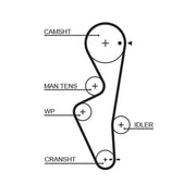 Gates Timing Belt Cambelt 117 Teeth 5430XS