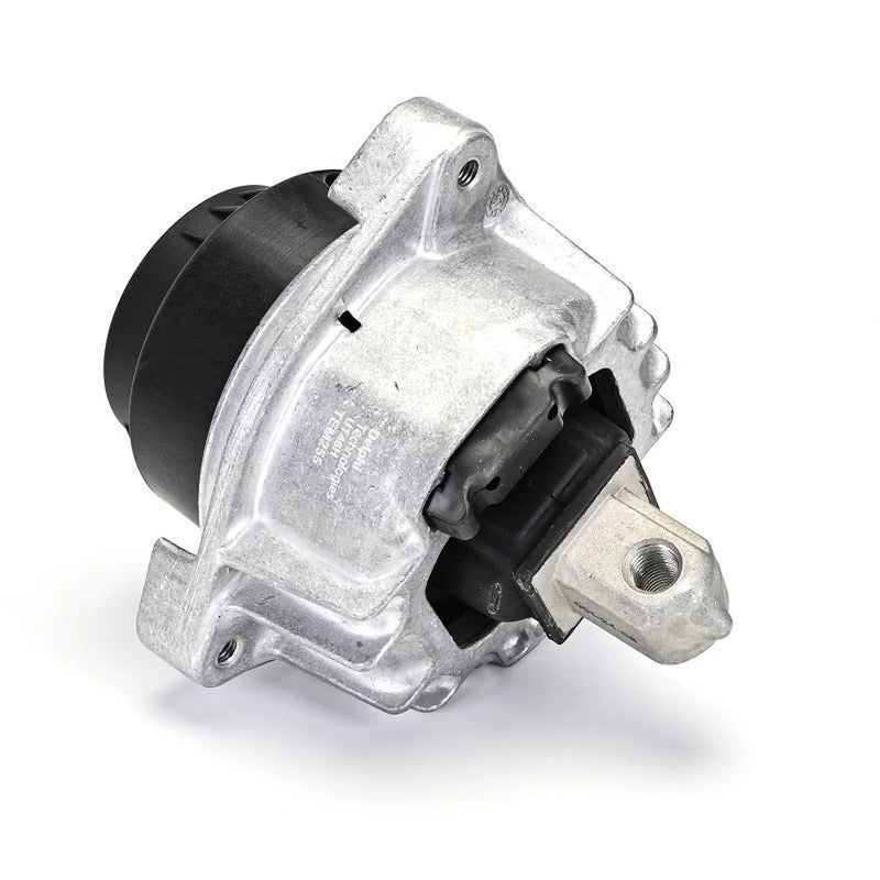 Delphi Engine Mount Mounting both sides TEM255