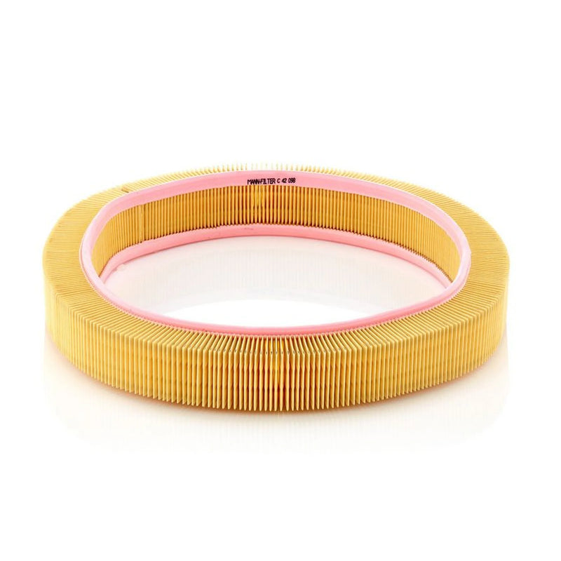 MANN-FILTER Engine Air Filter C 42 098