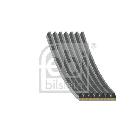 Febi Multi V-Ribbed Drive Belt 176365