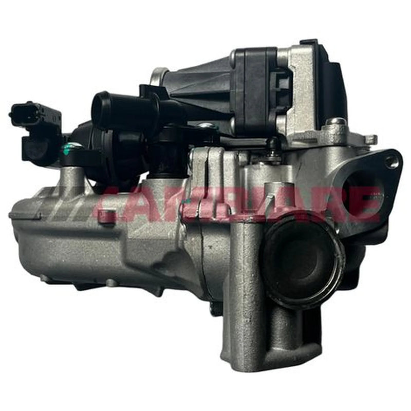Cambiare EGR Exhaust Gas Recirculation Module VE360439
