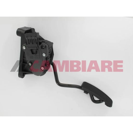 Cambiare Accelerator Pedal Position Sensor VE378058