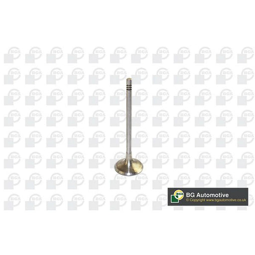 BGA Engine Intake Valve 30mm Head V591701