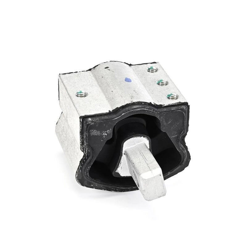 Delphi Engine Mount Mounting Right TEM259