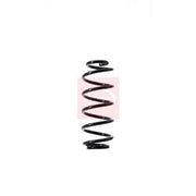 Apec Rear Suspension Coil Spring ACS1441