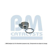 BM Catalysts Fitting Kit FK80654A FK80654A