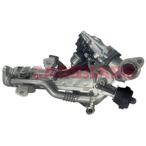 Cambiare EGR Exhaust Gas Recirculation Module VE360443