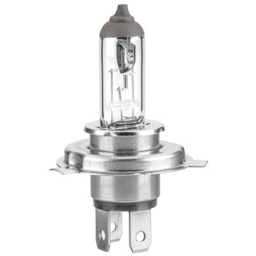 Hella Headlight Bulb H19 PU43t-3 12V 60/55W 8GJ 235 698-101