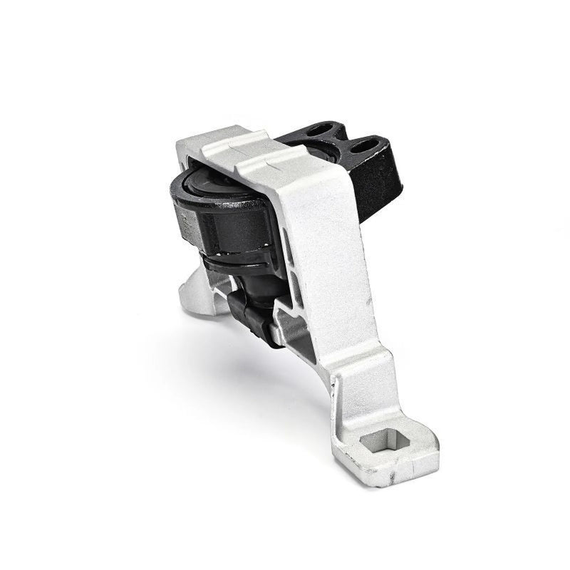 Delphi Engine Mount Mounting Left TEM265