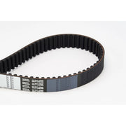Continental CTAM Timing Belt Cambelt 168 Teeth CT877
