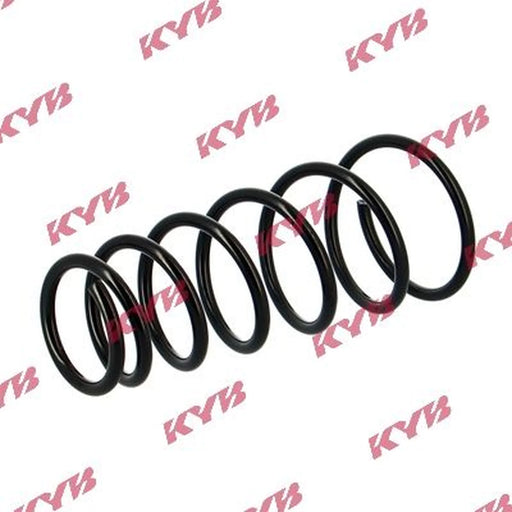 KYB Rear Suspension Coil Spring RA6495