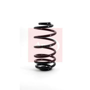 Apec Rear Suspension Coil Spring ACS1038