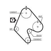Gates Timing Belt Cambelt 147 Teeth 5048