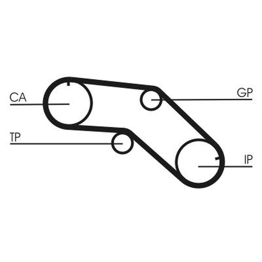 Continental CTAM Timing Belt Cambelt 79 Teeth CT1005