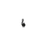 Delphi Control/Trailing Arm Rear TC6010