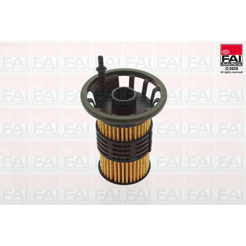FAI Fuel Filter Element FF110