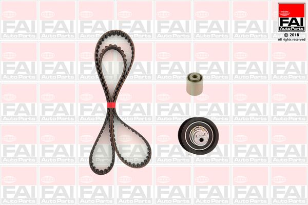 Fai Timing Belt Kit with Rollers TBK99