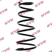 KYB Rear Suspension Coil Spring RI6167