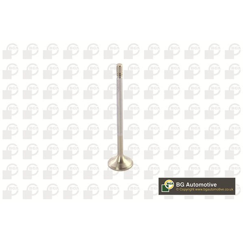BGA Engine Exhaust Valve 24mm Head V560010