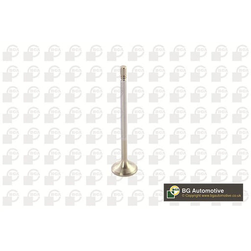 BGA Engine Exhaust Valve 24mm Head V560010