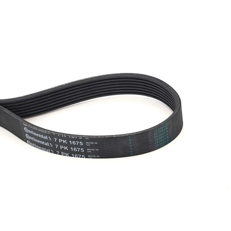 Continental CTAM Multi V-Ribbed Drive Belt 7PK1675
