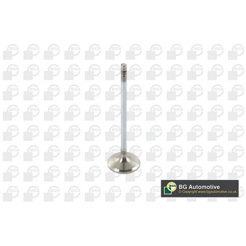 BGA Engine Intake Valve Head V123821