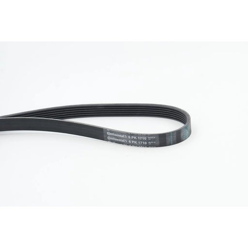 Continental CTAM Multi V-Ribbed Drive Belt 6PK1710