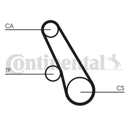 Continental CTAM Timing Belt Cambelt 55 Teeth CT991