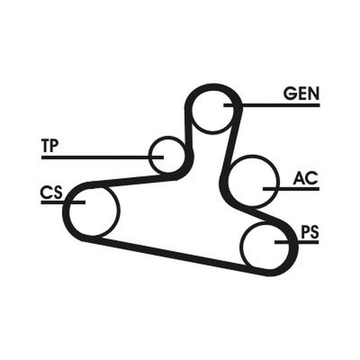 Continental CTAM V-Ribbed Belt Set 6DPK1195D1