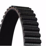 Continental CTAM Timing Belt Cambelt 112 Teeth CT954