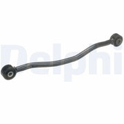 Delphi Control/Trailing Arm Rear TC6010