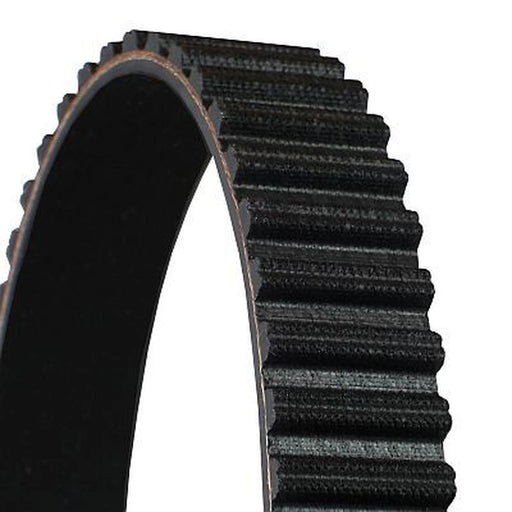 Continental CTAM Timing Belt Cambelt 165 Teeth CT609