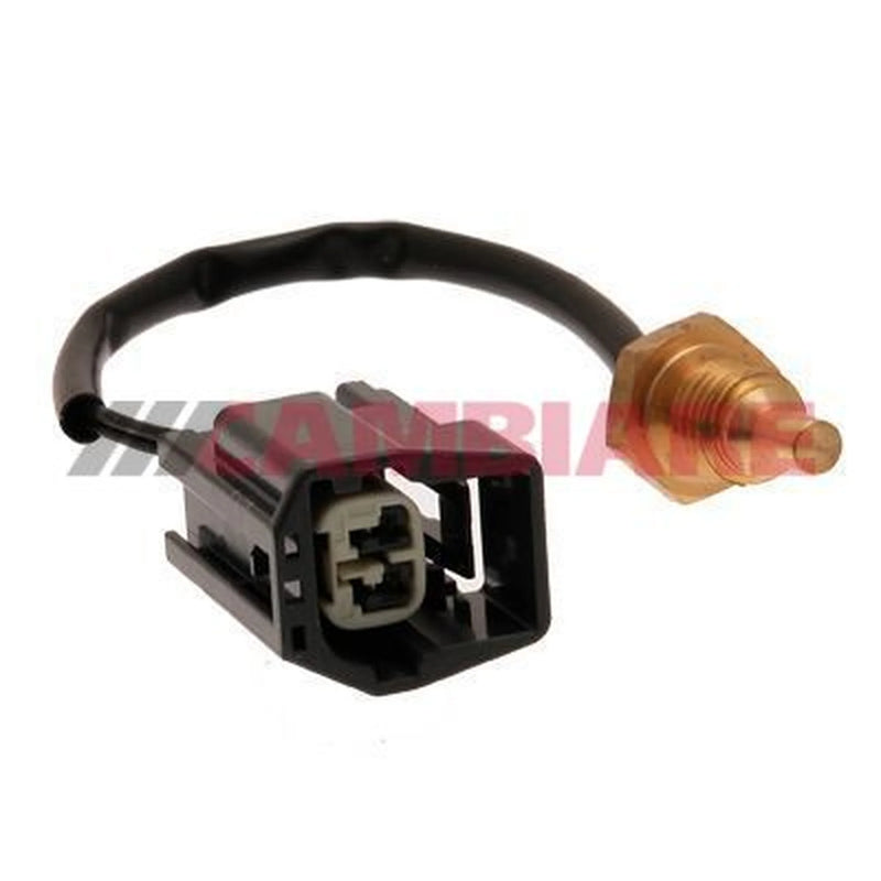 Cambiare Coolant Temperature Sensor VE375043