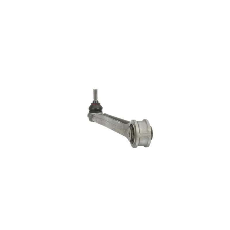 Delphi Control/Trailing Arm Lower TC6591