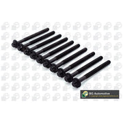 BGA Cylinder Head Bolt Set M10 BK3381