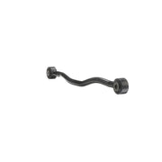 Delphi Control/Trailing Arm Rear TC6010