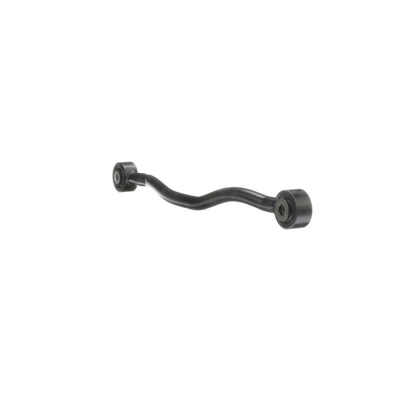 Delphi Control/Trailing Arm Rear TC6010