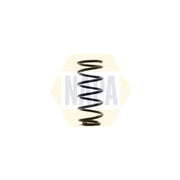NAPA Rear Suspension Coil Spring NCS1355