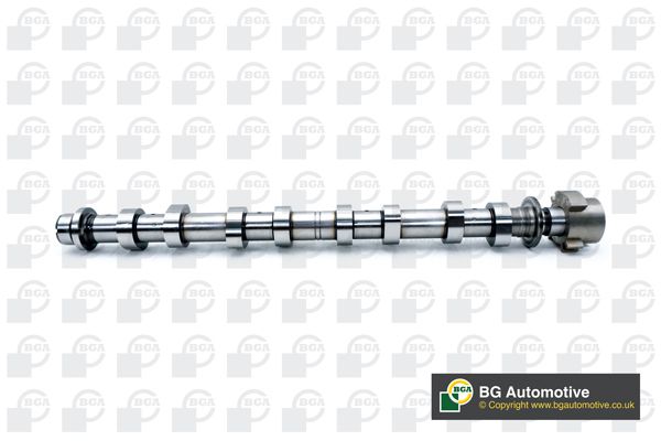 Bga Engine Camshaft Lobes CS6373